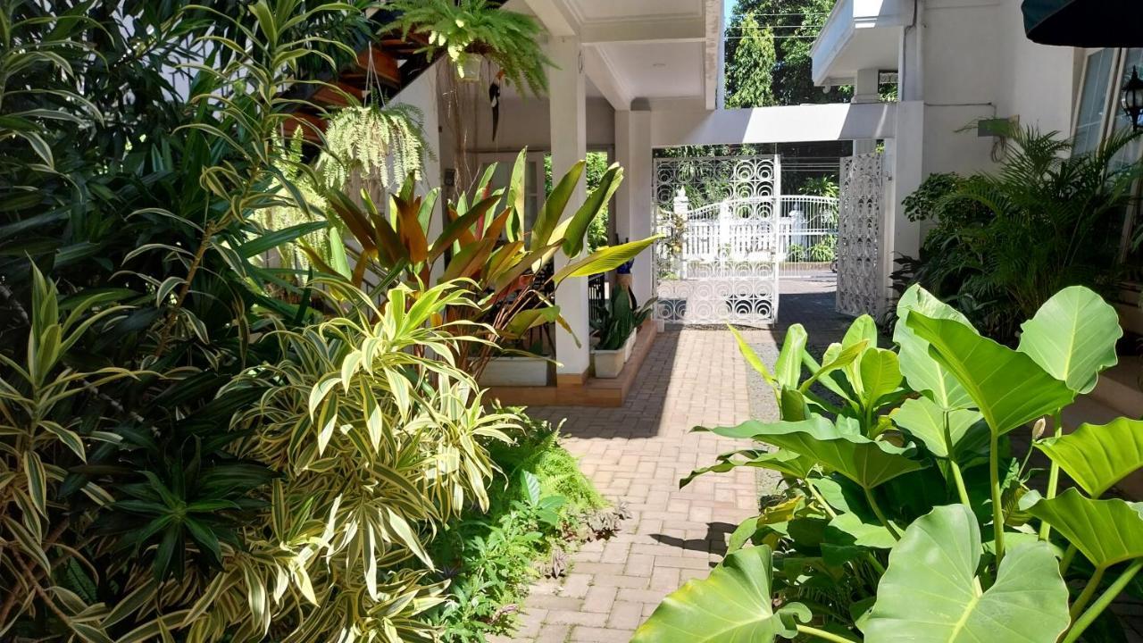 Surokarsan 9 House Yogyakarta Hotel Exterior photo